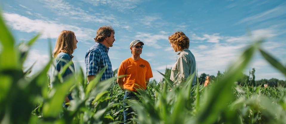 A group of people standing in a field.