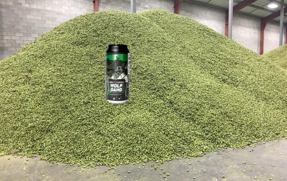 the best beer in the world