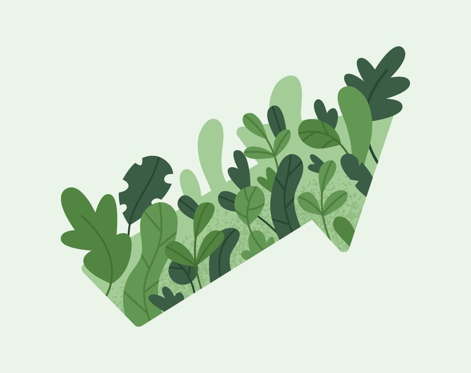 Arrow made out of plants