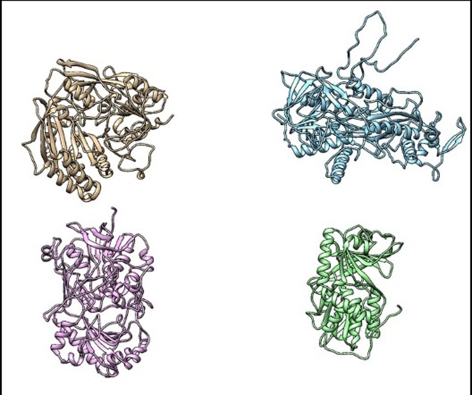 BB protein structures