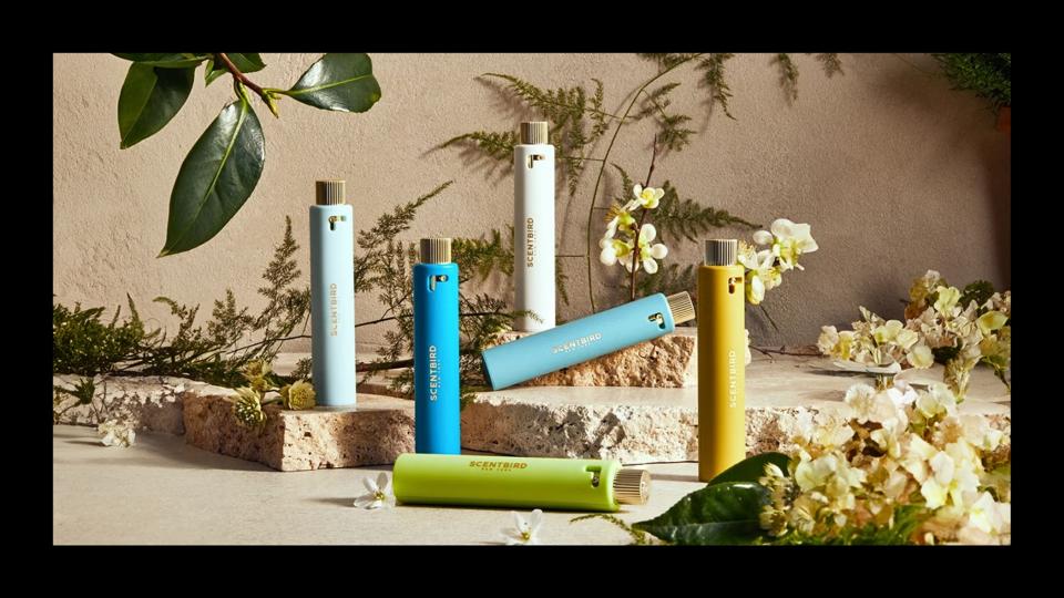 Graphic The Best Perfume Subscriptions To Satisfy Your Fragrance Obsession