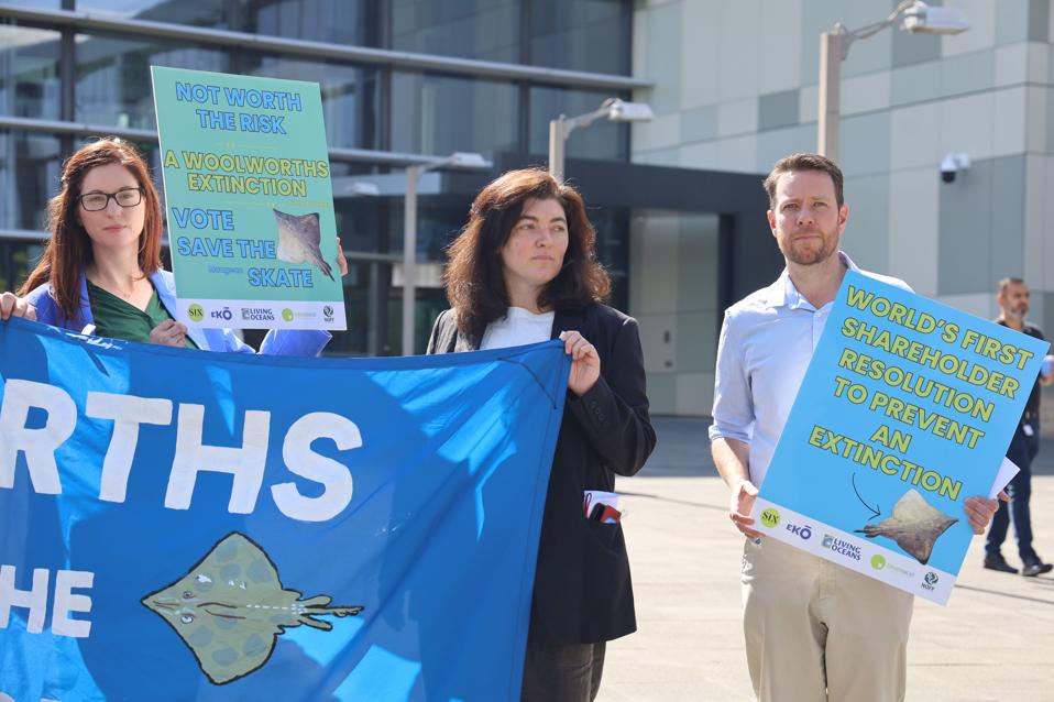 Woolworths AGM 2024 close up credit SIX