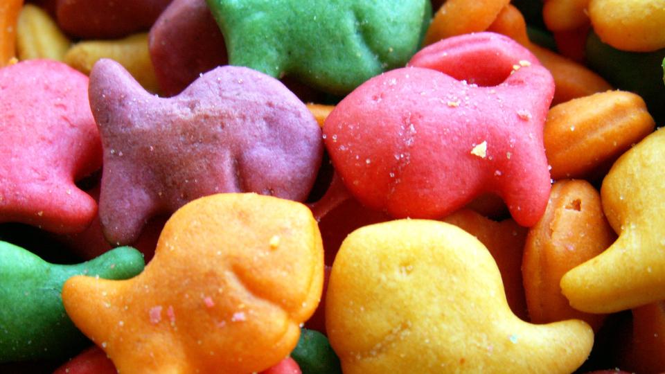 Goldfish cookies in bright cheery colors