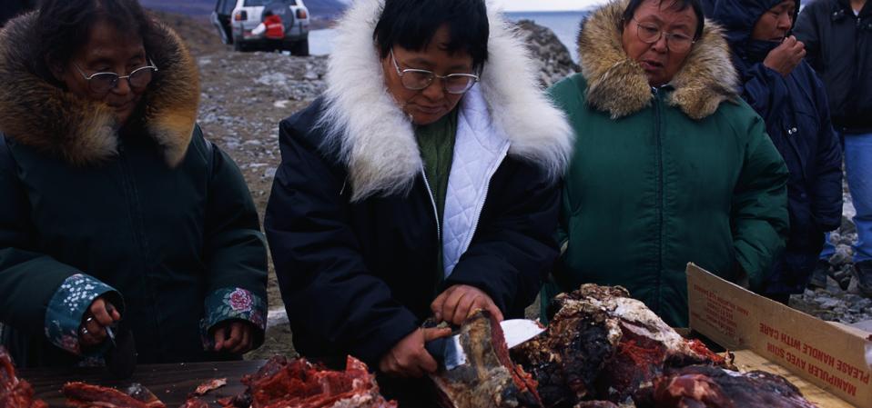 Inuit Preparing Caribou for Local Feast