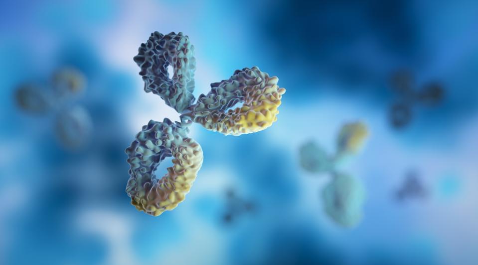 Antibodies