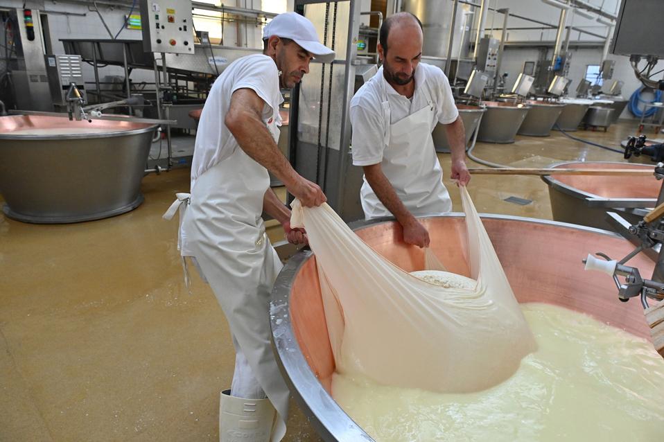 Cheese Waste Bioplastics