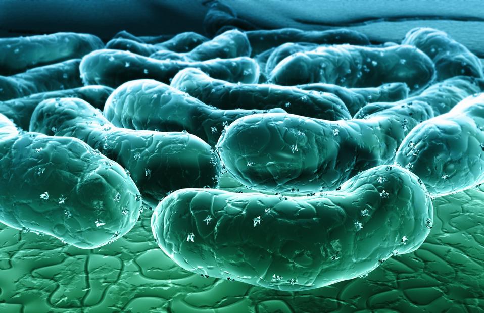 Stylized image of gut bacteria.