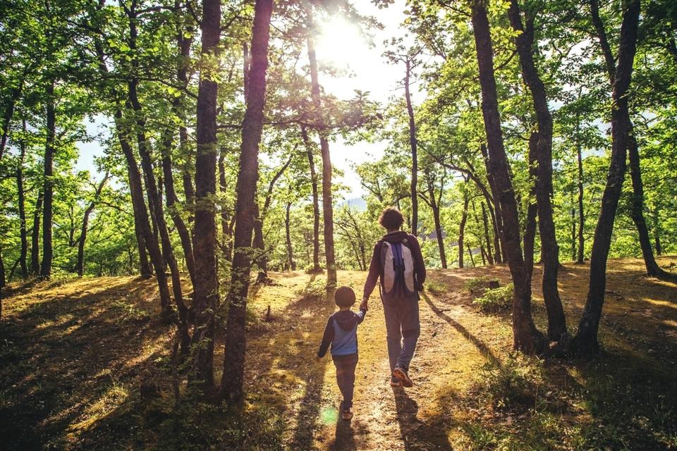 Father and son walking in the forest together holding by the hands.