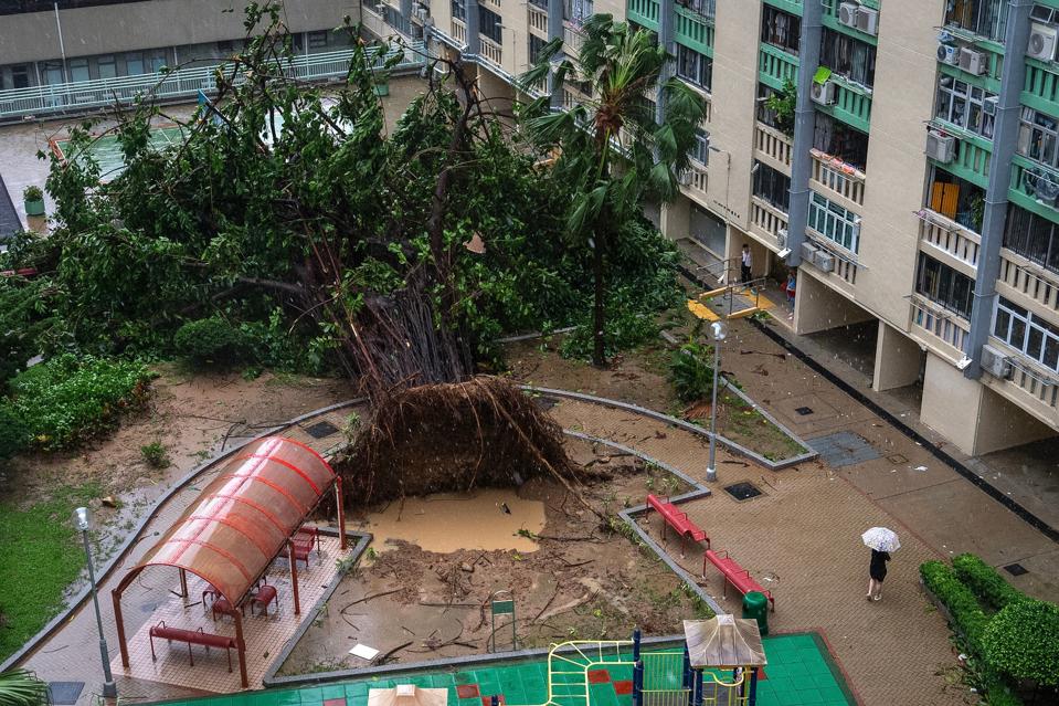 Hong Kong Asia Typhoon