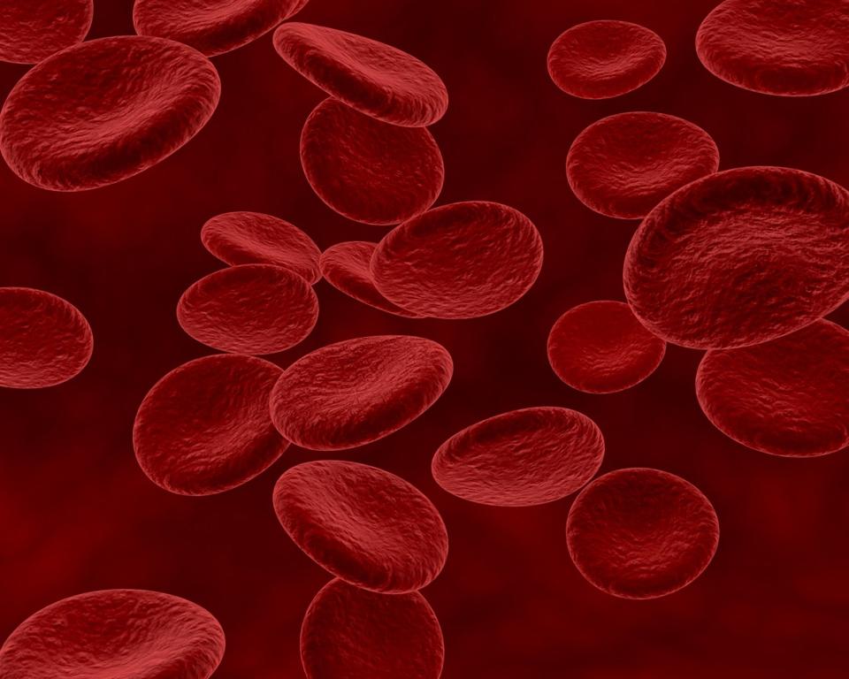 red-blood-cells Large