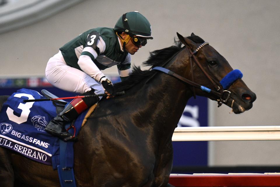 2024 Breeders' Cup World Championships