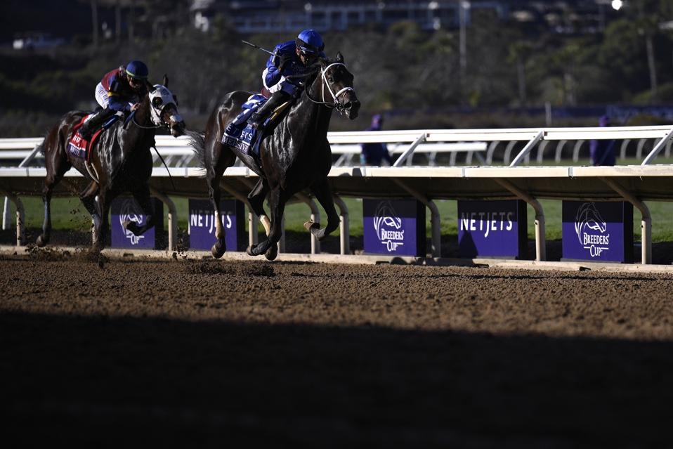 2024 Breeders' Cup World Championships