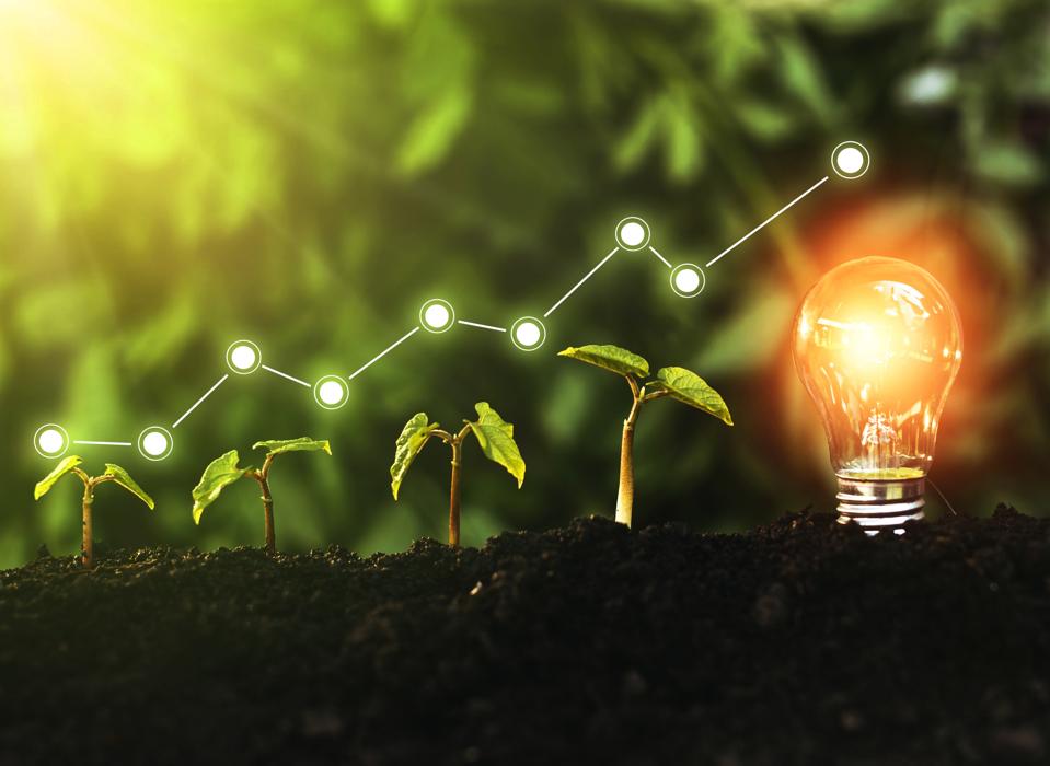 Green venture capital