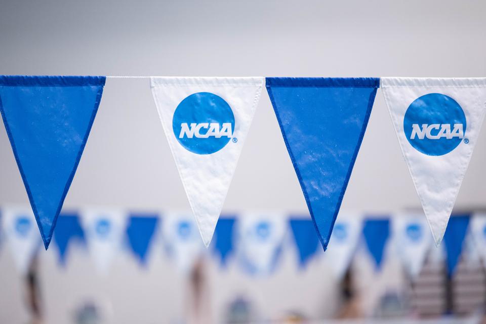 2025 NCAA Division I Men's Swimming and Diving Championships
