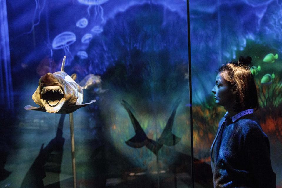 Exhibition shows body worlds under water