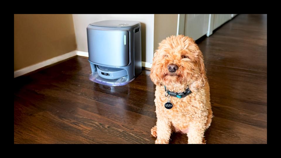 Graphic The 7 Best Robot Vacuums For Pet Hair: Personal Recommendations From Dog And Cat Owners