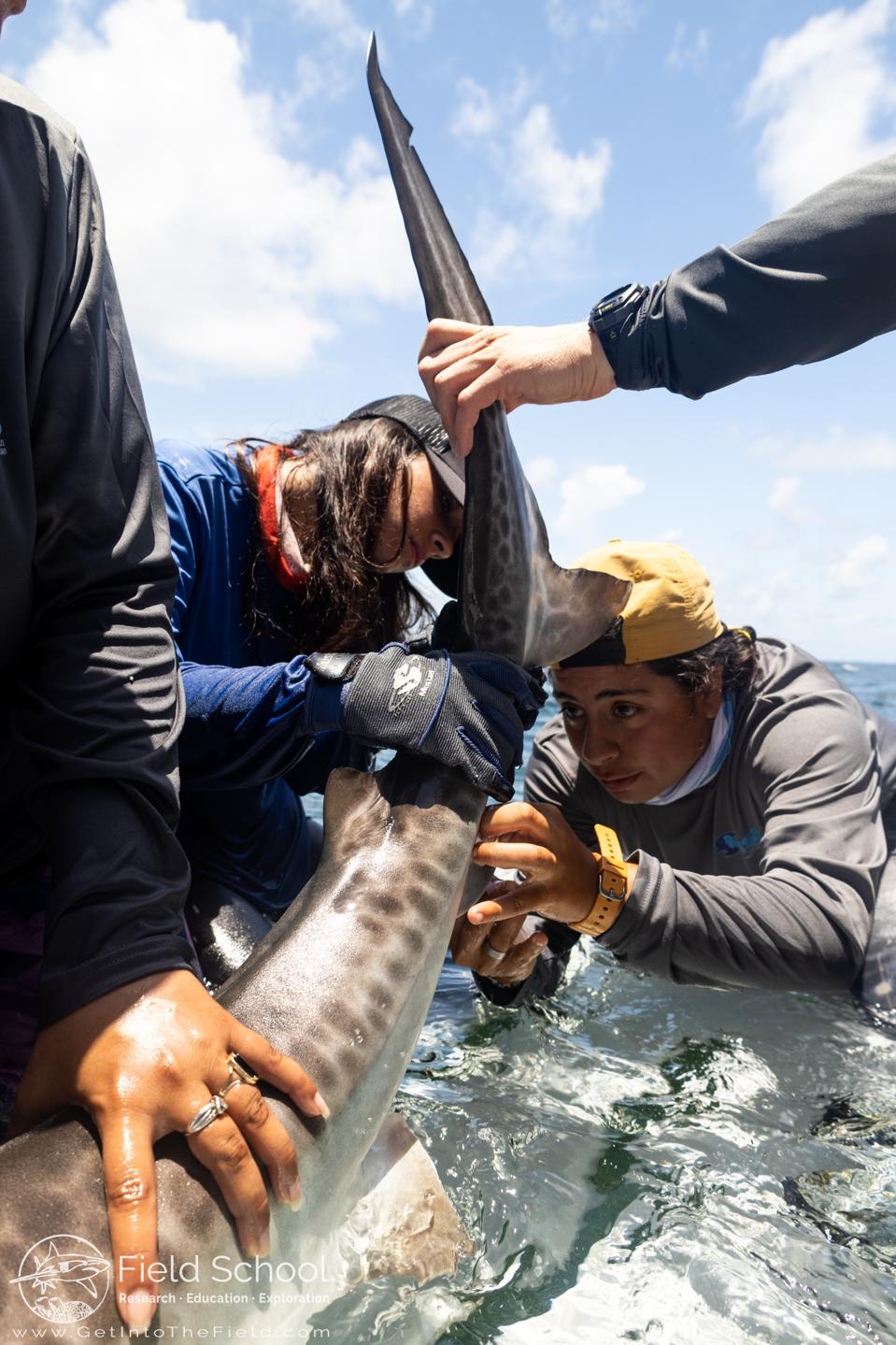 250618_79_BC_MISSDiversifyingOceanSciences_Send