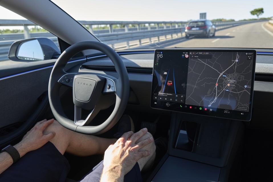 New Tesla Model 3 With Full Self-Driving Activated