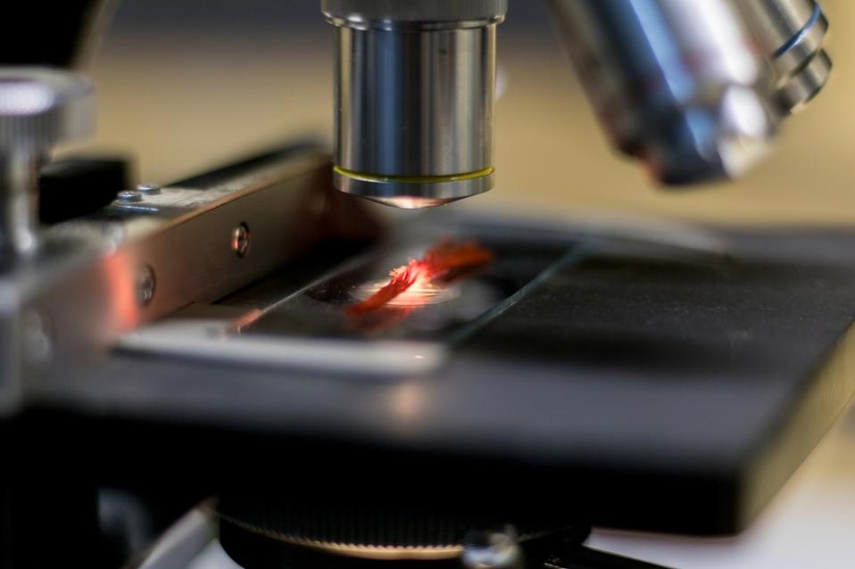 biological microscope