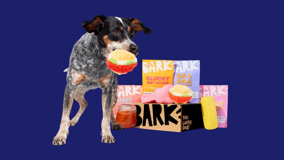 Dog holding a soft toy in its mouth beside a BarkBox package filled with toys and treats