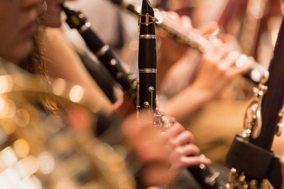 wind section during a classical concert music