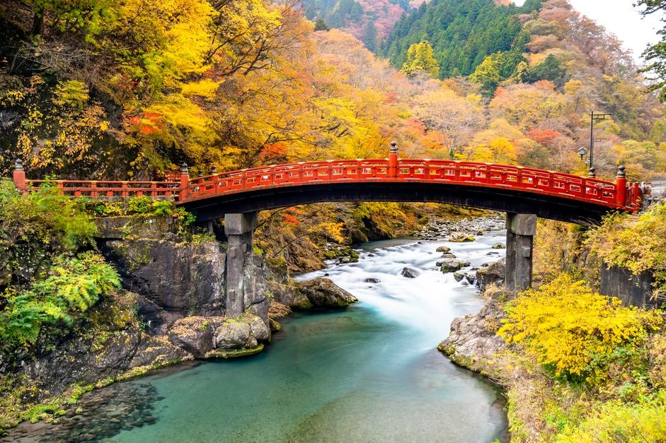 shinkyo bridge with yellow leaf