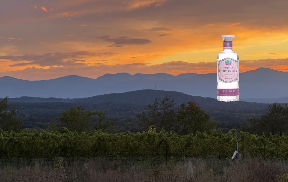 world's best tequila