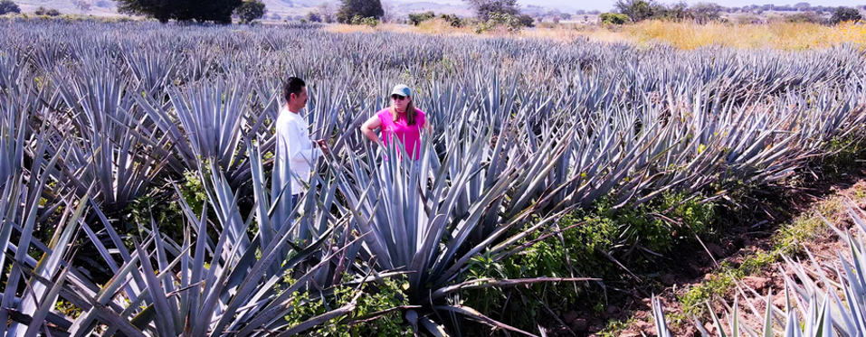 tequila poderrosa