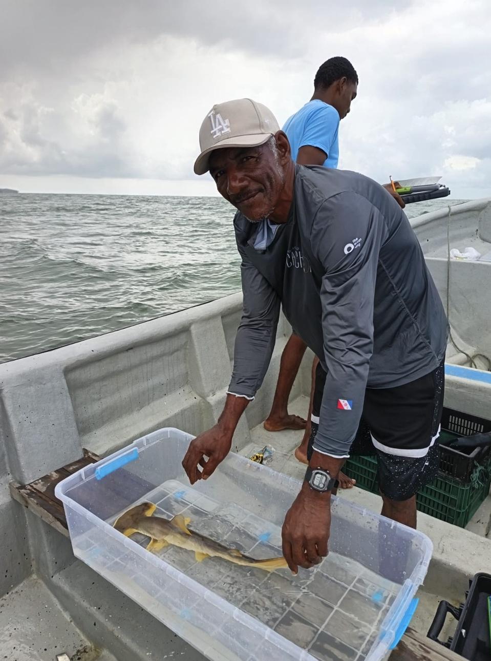 Nelayan Kolombia Berubah: Dari Menangkap Menjadi Melindungi Hiu yang Terancam Punah