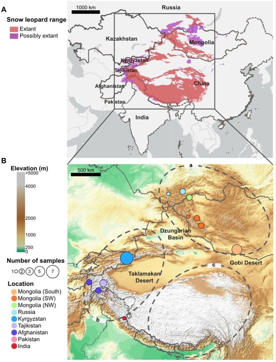 F1.large doi:10.1073/pnas.2502584122