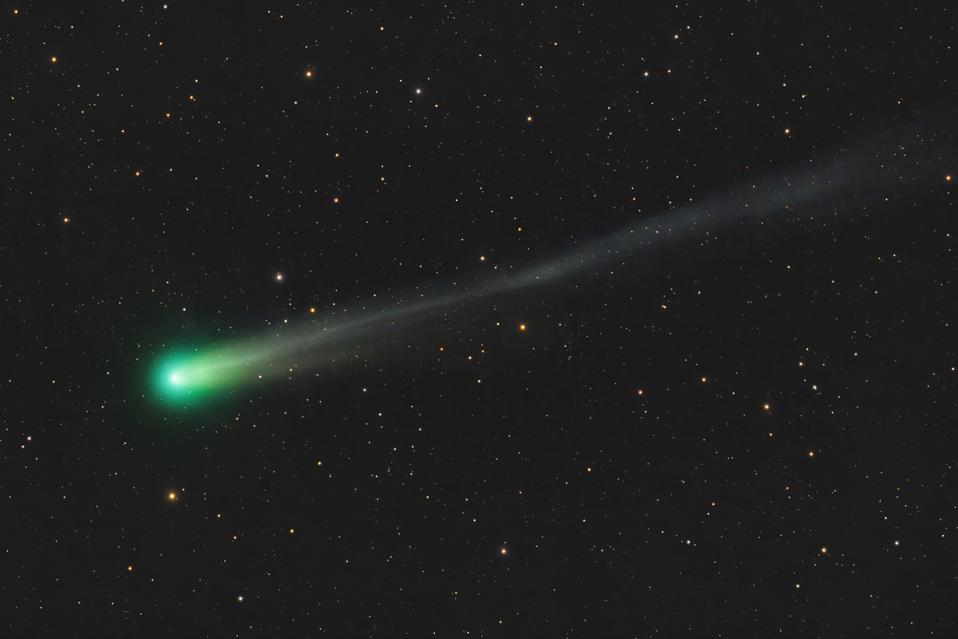Comet C/2025 A6 (Lemmon) traveling through star field