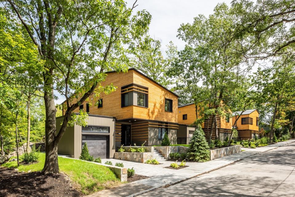 Three contemporary homes on a tree-lined street