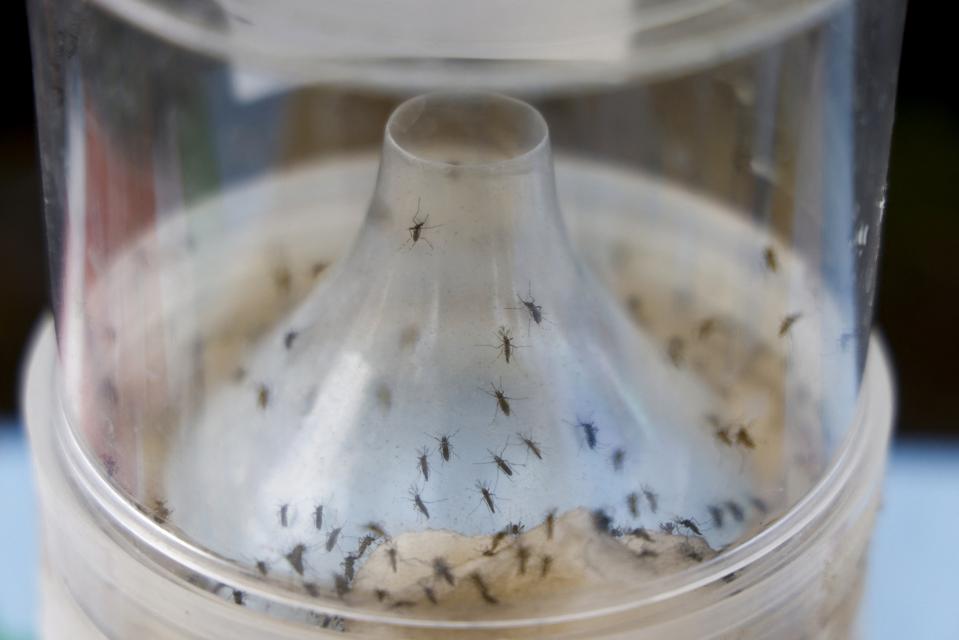 FRANCE-OVERSEAS-POLITICS-HEALTH