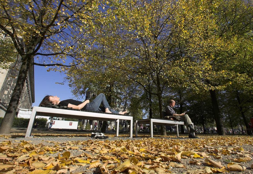 A Warm And Sunny Autum Day