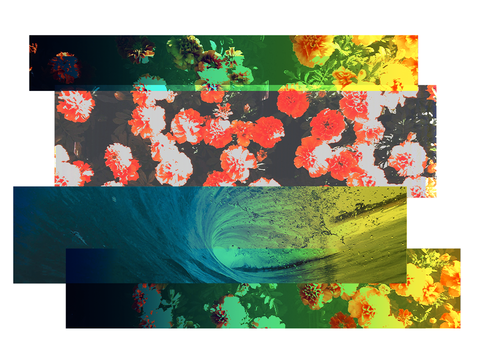 Image of flowers, ocean wave