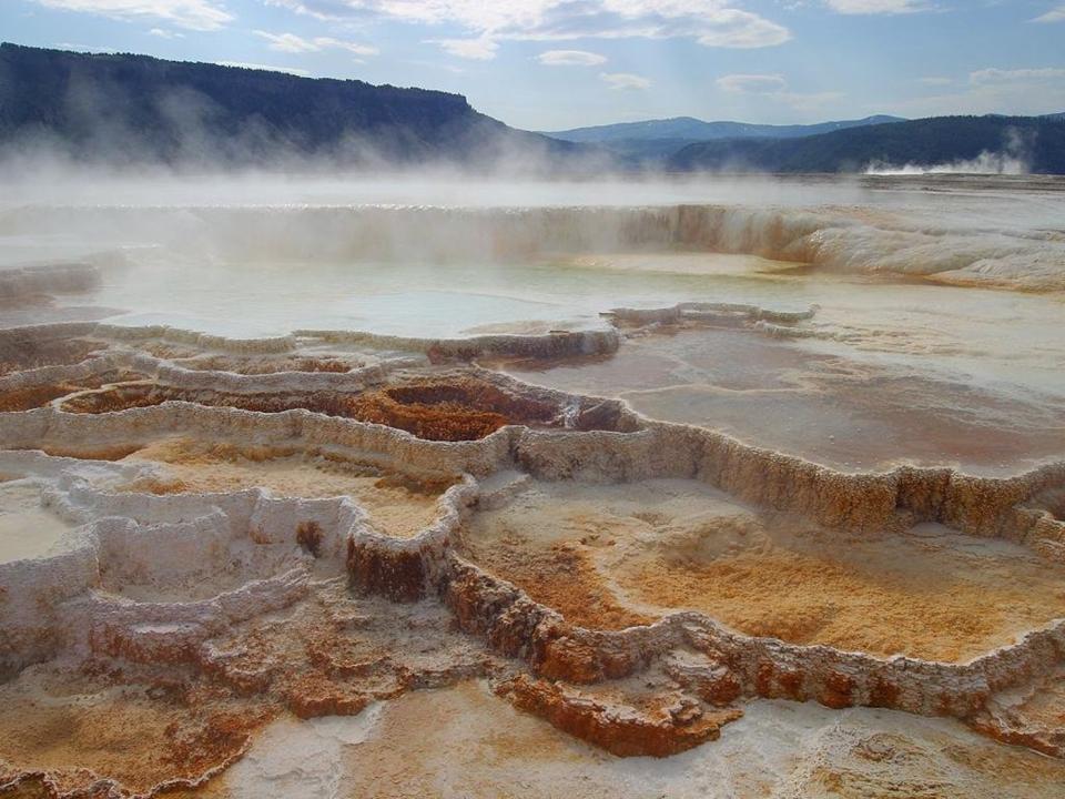 ynp-hot-spring-mammoth-hot-springs-9 Yellowstone Xanterra