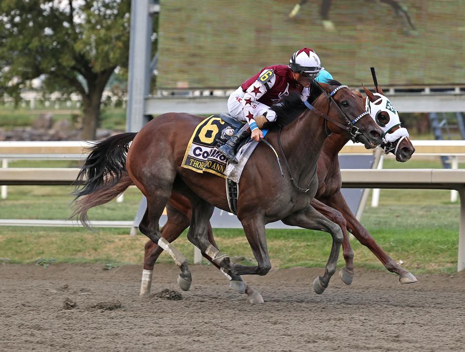 09-21-24 पी12 थोरपीडो अन्ना फिन_21