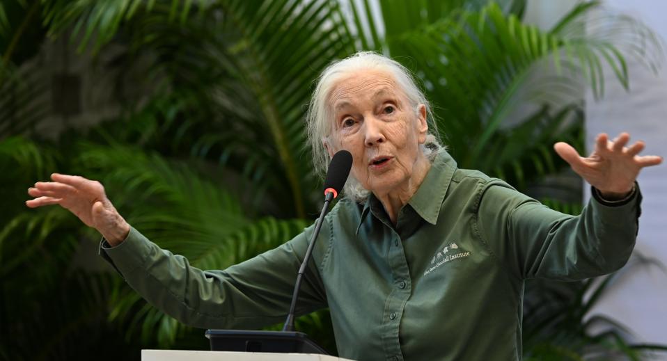 Renowned Conservationist Dr. Jane Goodall Begins 'Hope Global Tour' In Mumbai