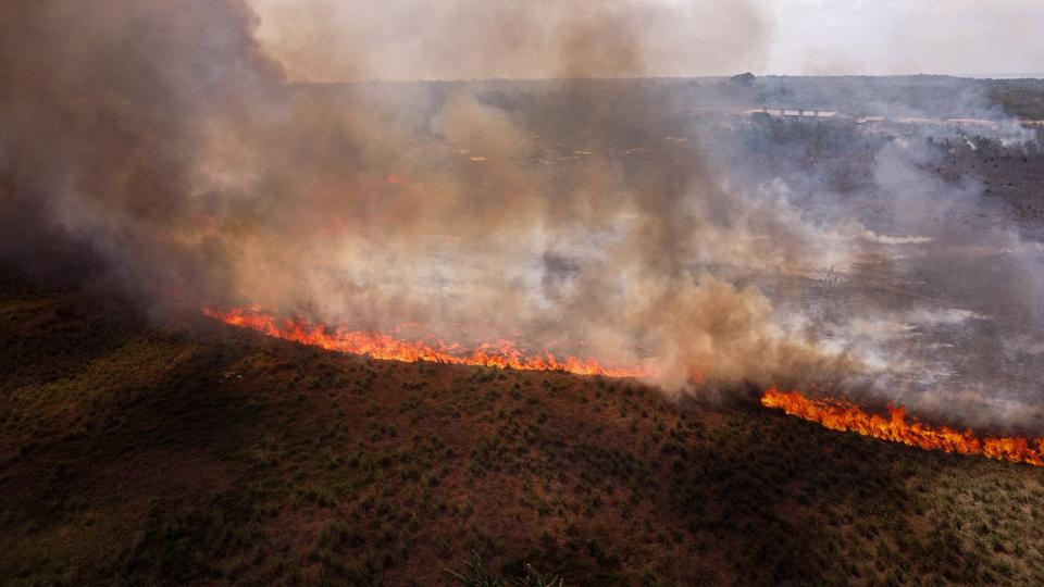 Amazon Drought