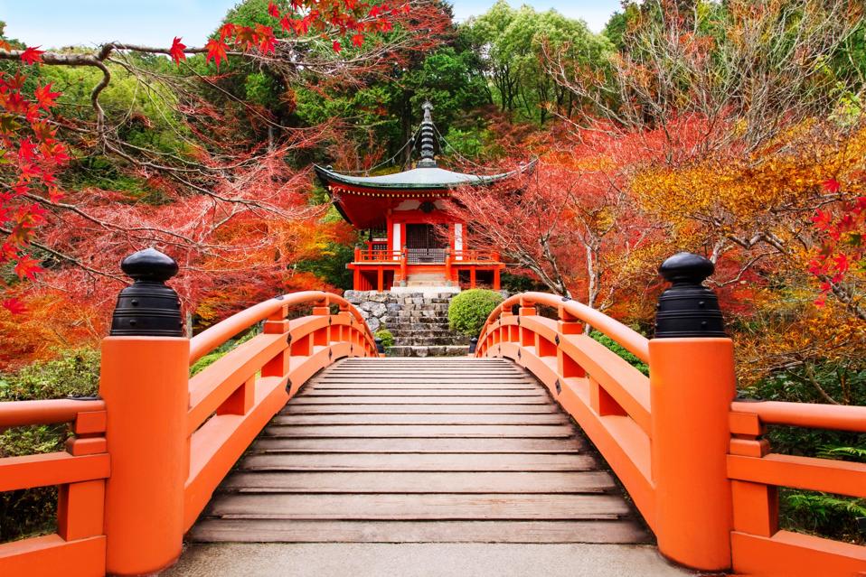 Explore Japan By Private Jet: TCS World Travel's New 11-Day Journey
