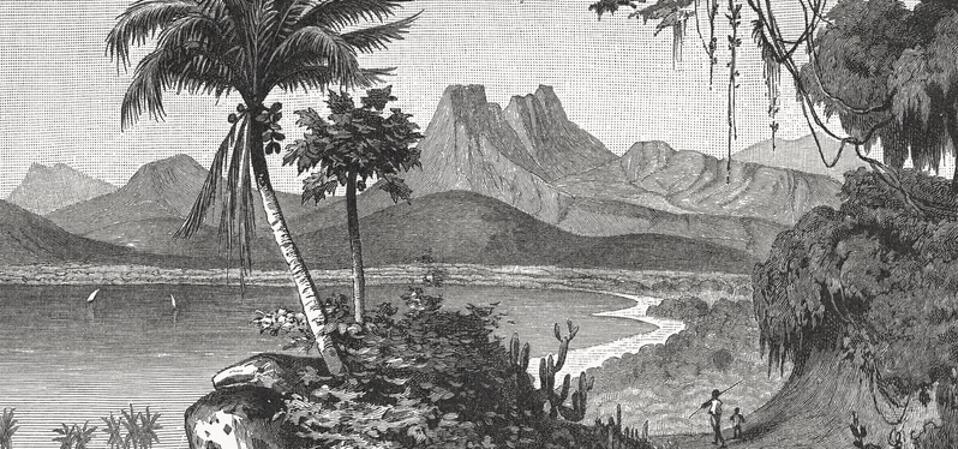 A bay of West-Haiti, wood engraving, published in 1897