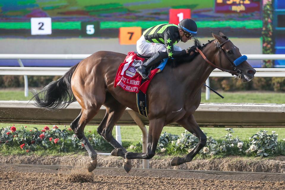 California Dreamin Stakes