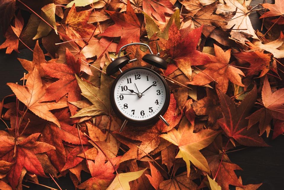 Autumn season time, alarm clock in dry fall leaves