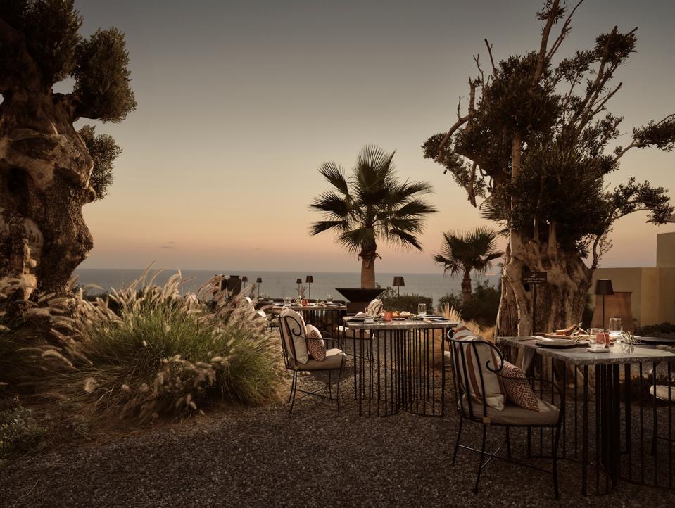 Acro Suites Crete Opens Olive Grove Dining Experience