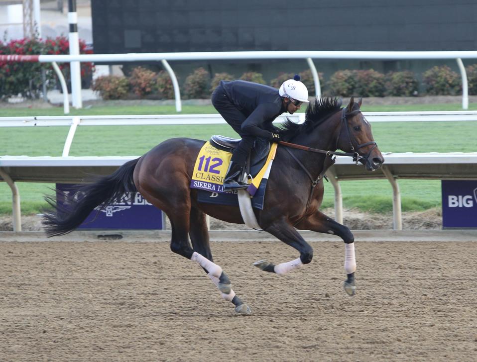 Forever Young Captures Breeders' Cup Classic at Del Mar