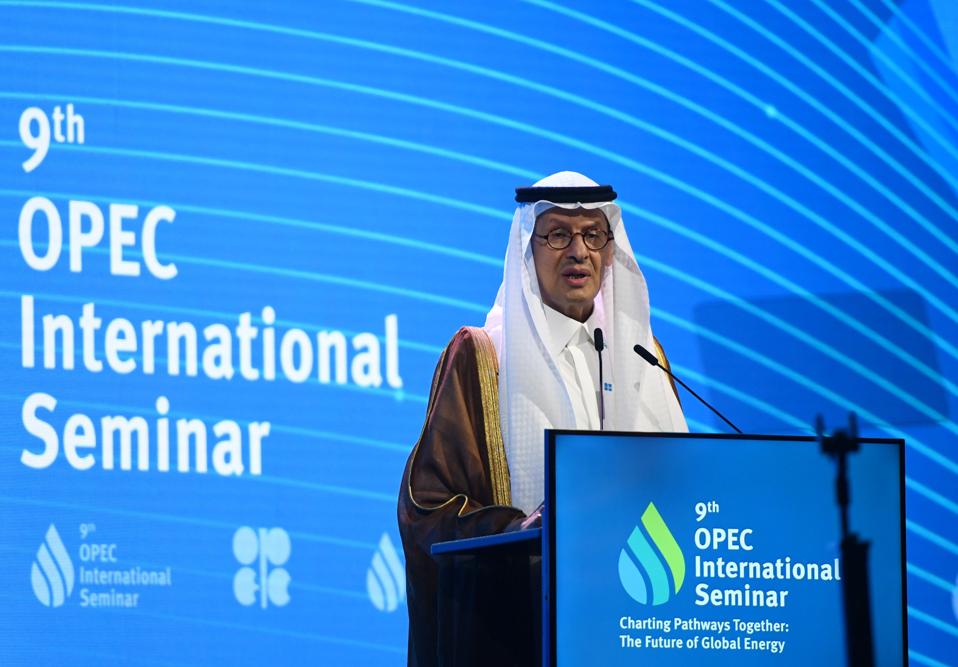 AUSTRIA-VIENNA-OPEC-INTERNATIONAL SEMINAR