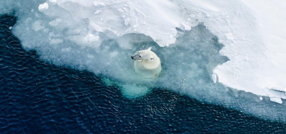 Screenshot 2025-11-07 12.58.00 PM