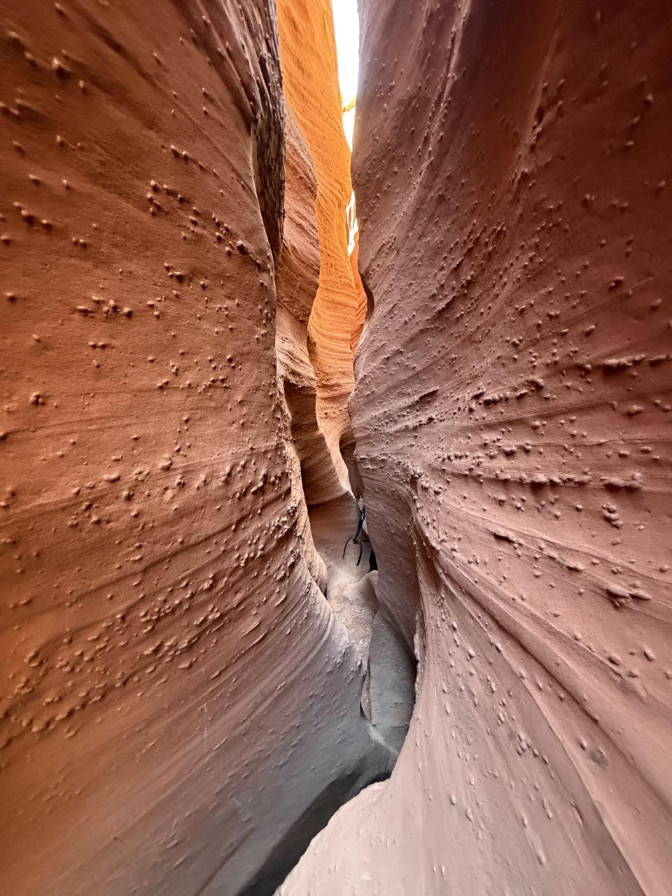 Final del Cañón de Tragamonedas