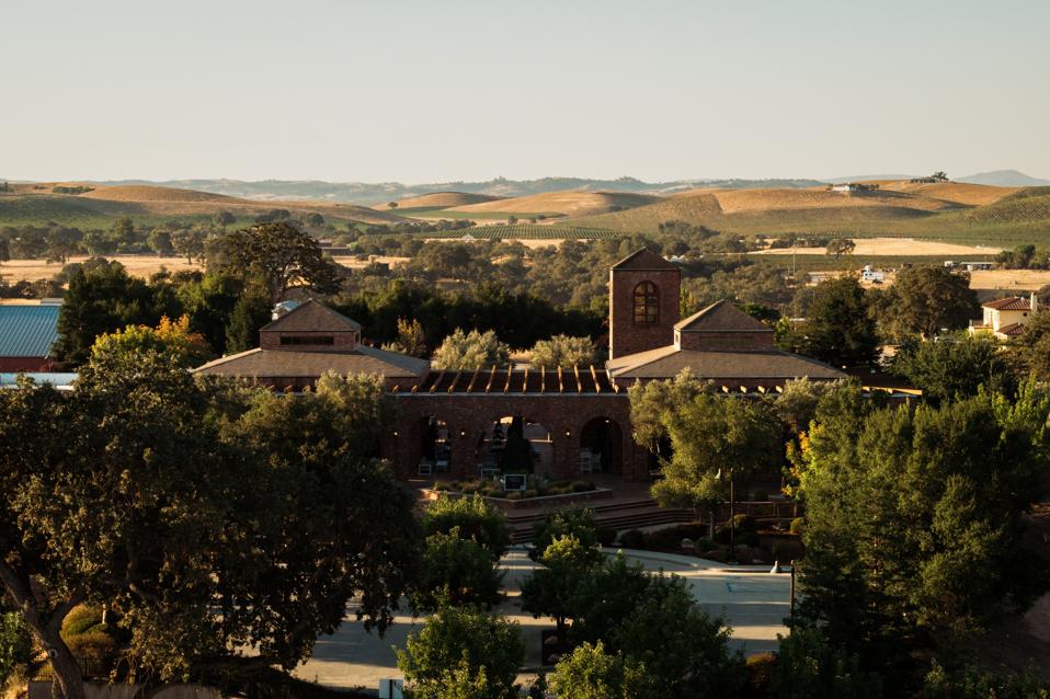 Gerakan One Block Challenge: Mengubah Masa Depan Pertanian Anggur Secara Berkelanjutan