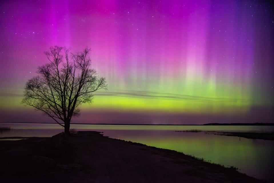 Fenomena Cahaya Utara Akan Terlihat di Banyak Wilayah AS Akibat Badai Matahari